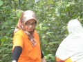 Tn DSC 3718